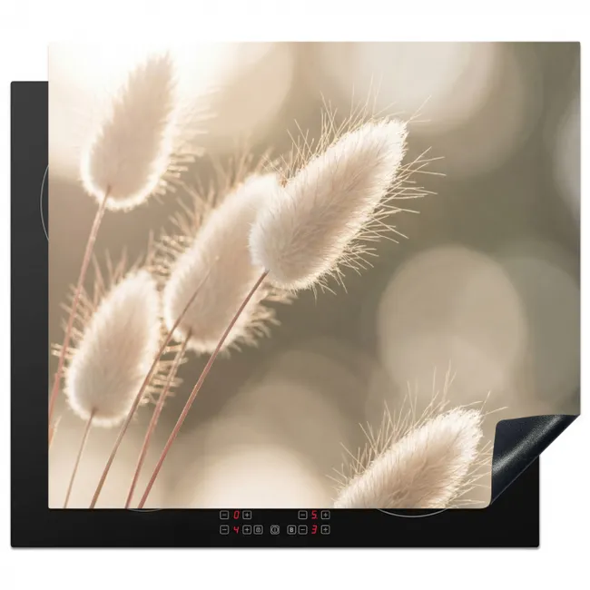 Herdabdeckplatte - Haselschwanzgras - Weiß - Sonnenlicht