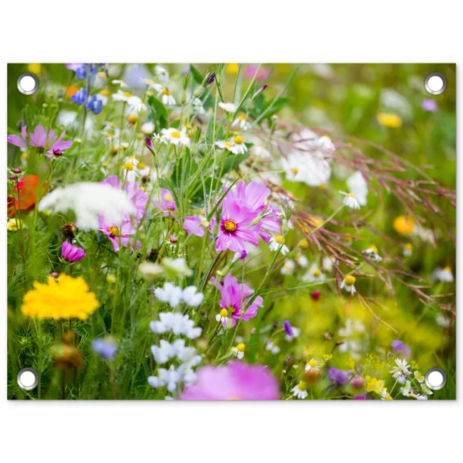 Wilde bloemen in volle bloei tuinposter los doek klein -3d