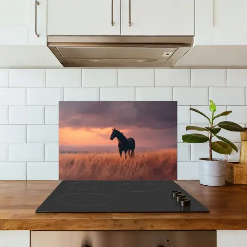 Paard - Wolken - Open veld keuken achterwand spatscherm klein -sfeer2