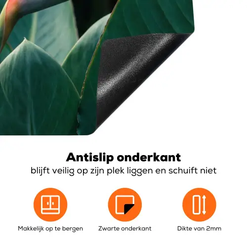 Paradijsvogel - Bloem - Exotisch Inductie beschermer vinyl 3mm klein -zzzzzzz-td-onderkant