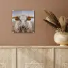 Longhorn - Grasveld - Dier plexiglas 5mm klein -sfeer5