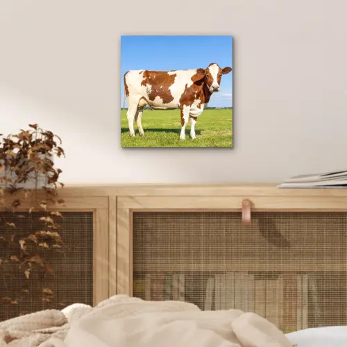 Koeien - Boerderij - Gras- Natuur - Dieren aluminium wit klein -sfeer3