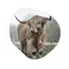 Schotse hooglander - Natuur - Herfst - Dieren - Wild - Bos Wandcirkel Organisch Forex 3mm klein -3d