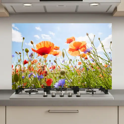 Bloemen - Klaproos - Lente - Natuur - Rood - Blauw keuken achterwand spatscherm klein -3d_website