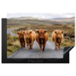Schotse Hooglanders - Weg - Landschap - Kudde Inductie beschermer vinyl 3mm klein -3d