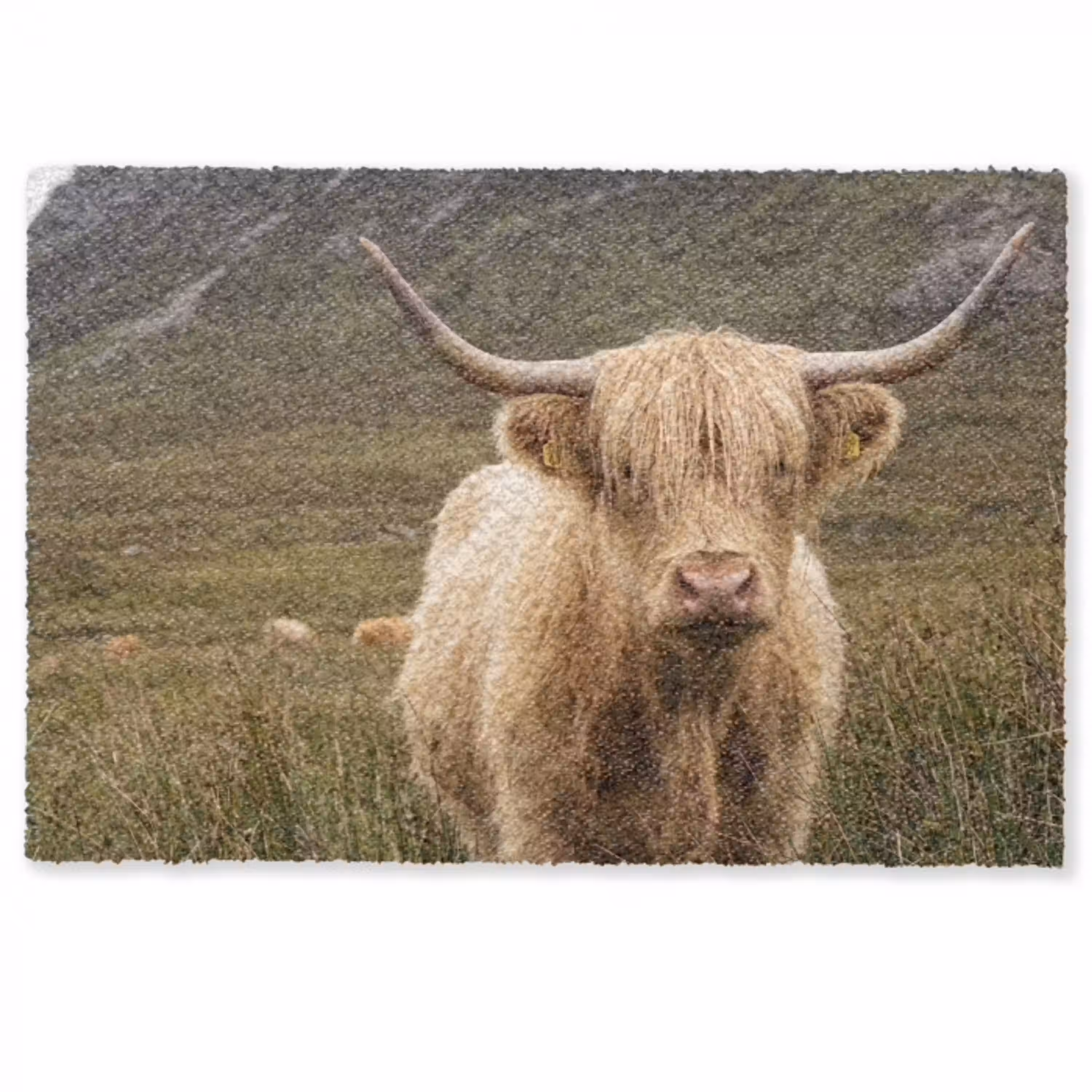Schotse hooglander - Bergen - Grasveld Deurmat klein -zkaufland3d