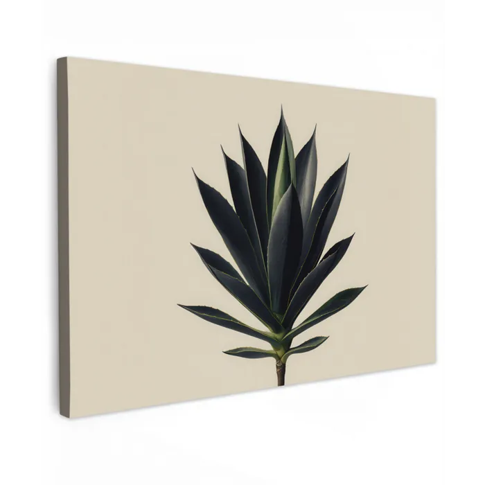Agaveplant - Symmetrisch - Groen canvas 2cm klein -z3d