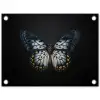 Vlinder - Monochroom - Balans tuinposter los doek klein -3d