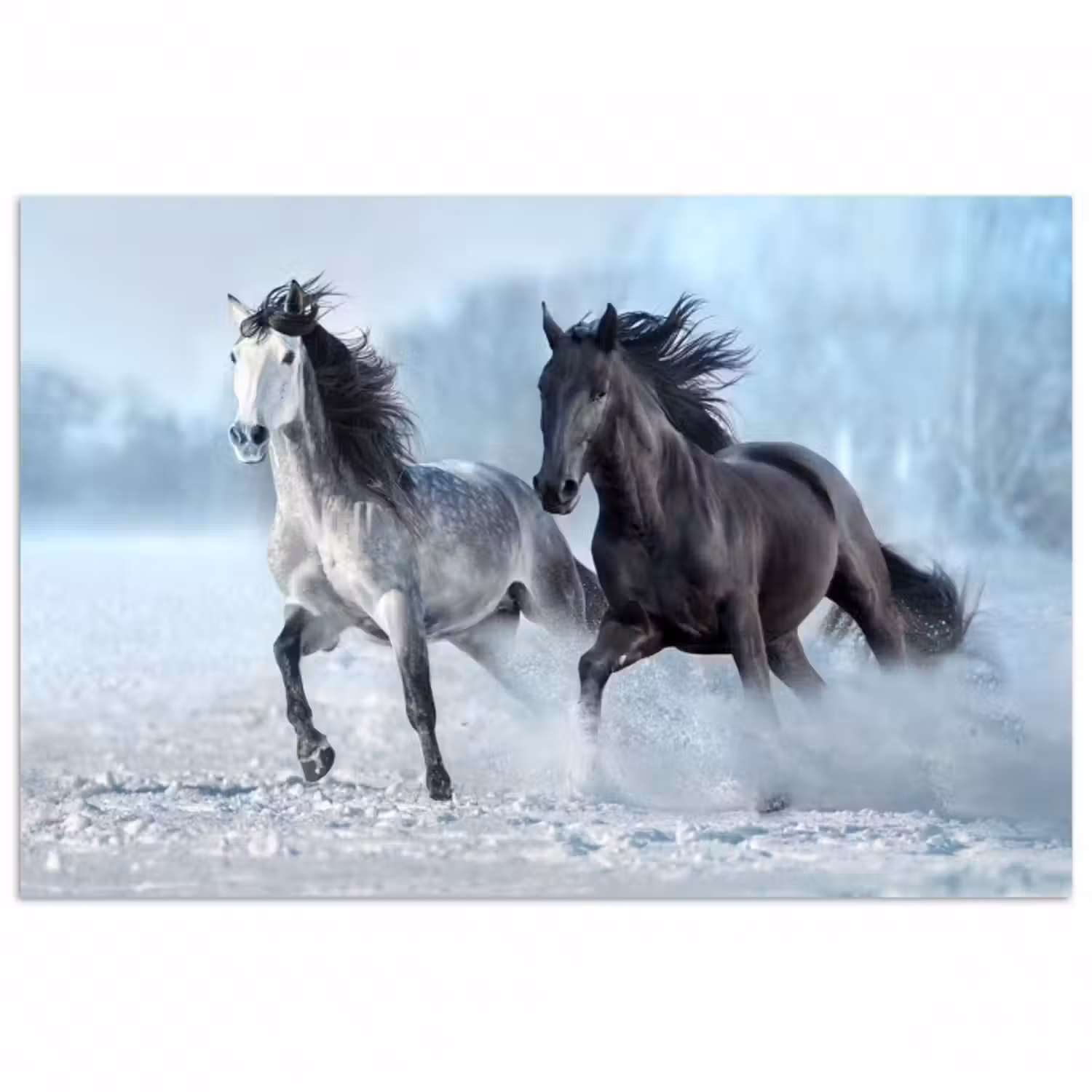 Poster - Pferde - Winter - Tiere - Natur - Schnee