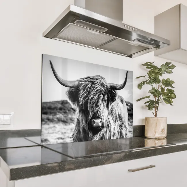 Spritzschutz Küche - Gehörnter Wächter