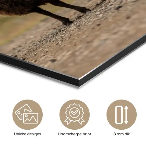 Schapen - Bruin - Wit - Grindpad aluminium wit klein -closeup_NL