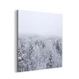 Bos - Sneeuw - Winter - Natuur - Wit aluminium wit klein -3d