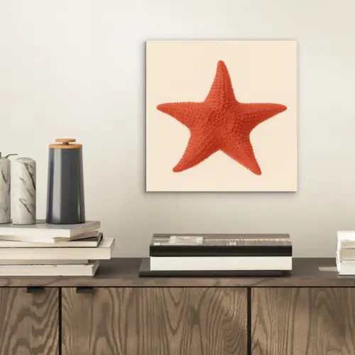Zeester - Bobbels - Rood aluminium wit klein -sfeer1