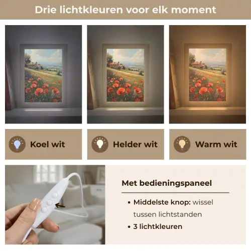 Klaprozen - Rood - Heuvels - Landschap Light Box met kabel (Tafellamp) klein -USP_lichtkleurNL