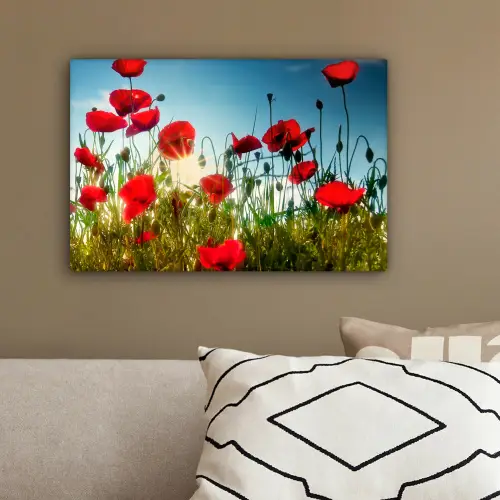 Klaprozen - Toscane - Zon - Rood - Blauw canvas 2cm klein -sfeer3