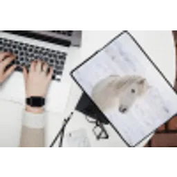 Paard - Kop - Winter - Dieren - Wit laptophoes neopreen klein -bureau