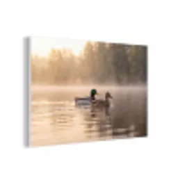 Eenden - Water - Mist - Natuur forex 5mm xxl -3d