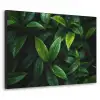 Bladeren - Regendruppels - Licht - Groen Textielframe zwart klein -3d