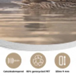 Eenden - Water - Mist - Natuur Akoestische PET Vilt - Rond klein -closeup_NL