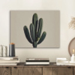 Cactus - Subtiel - Groen PET vilt klein -sfeer1