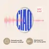 Ciao - Hoofdletters - Blauw - Minimalistisch Akoestische PET Vilt - Rond klein -USP_NL
