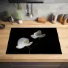 Nachtelijke Orchidee Elegance Inductie beschermer vinyl 3mm klein -sfeer5