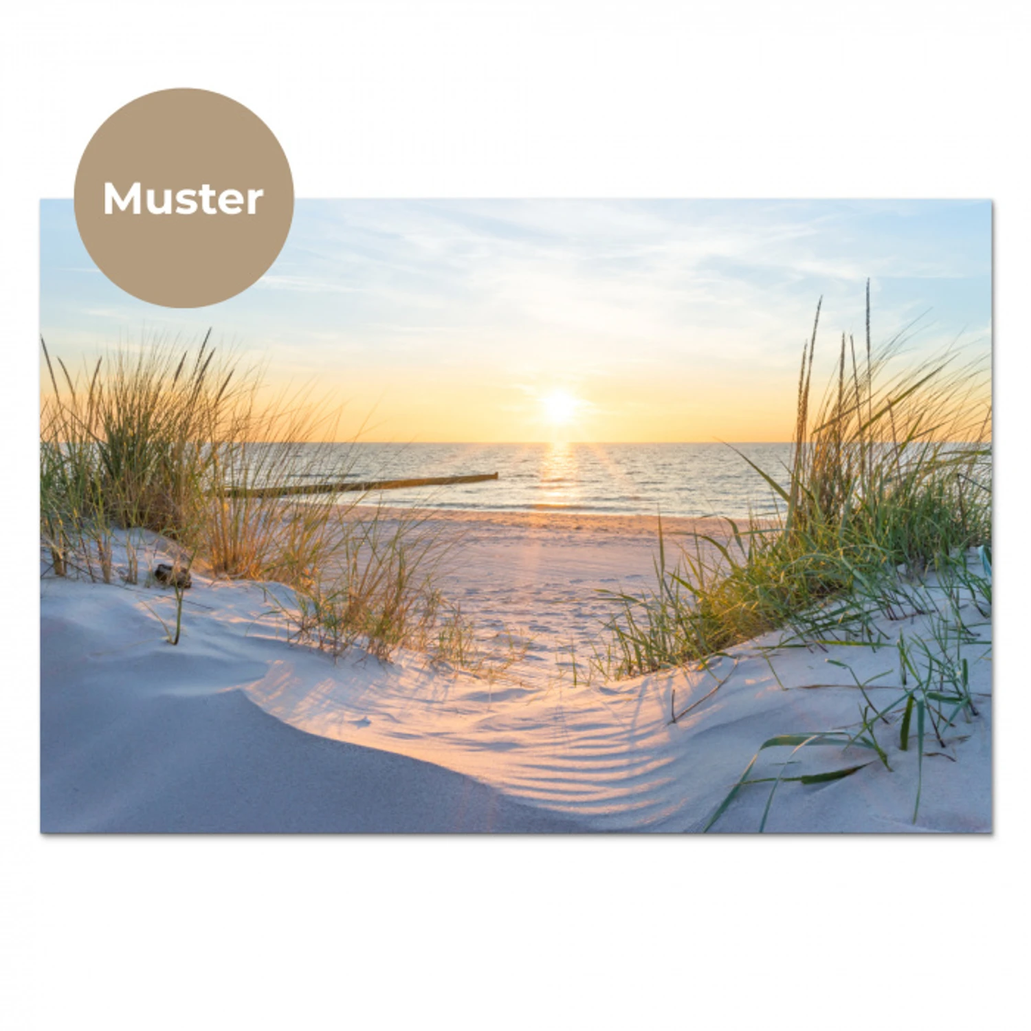 Strand - Zon - Duin - Gras - Zand - Horizon keuken achterwand sample klein -3d_DE