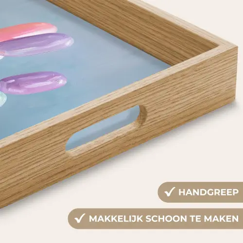 Dier - Ballon - Pasteltinten - Glanzend Dienblad Rechthoek middel -USP_HandgreepNL