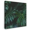Monstera - Bladeren - Tropisch - Jungle Tuinposter op houten frame 2 cm dik klein -3d