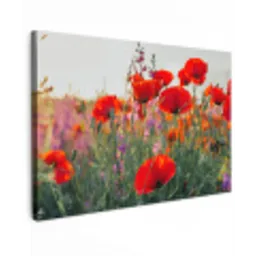 Klaproos - Bloemen - Rood - Paars - Weide Tuinposter op houten frame 2 cm dik klein -3d