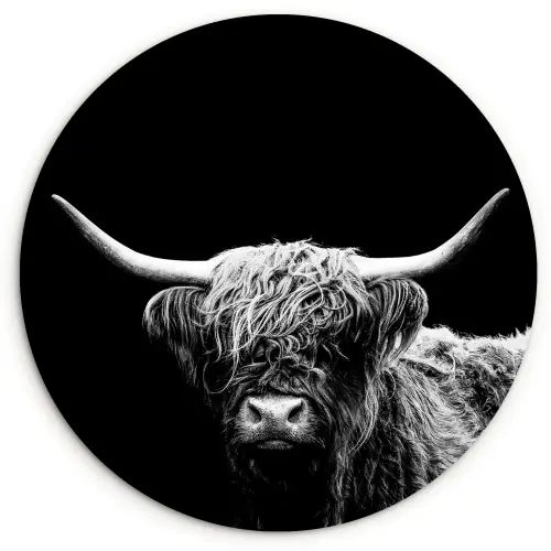 Schotse Hooglander - Koe - Zwart - Wit - Dieren Wandcirkel kunststof plaat 5mm dik klein -3d