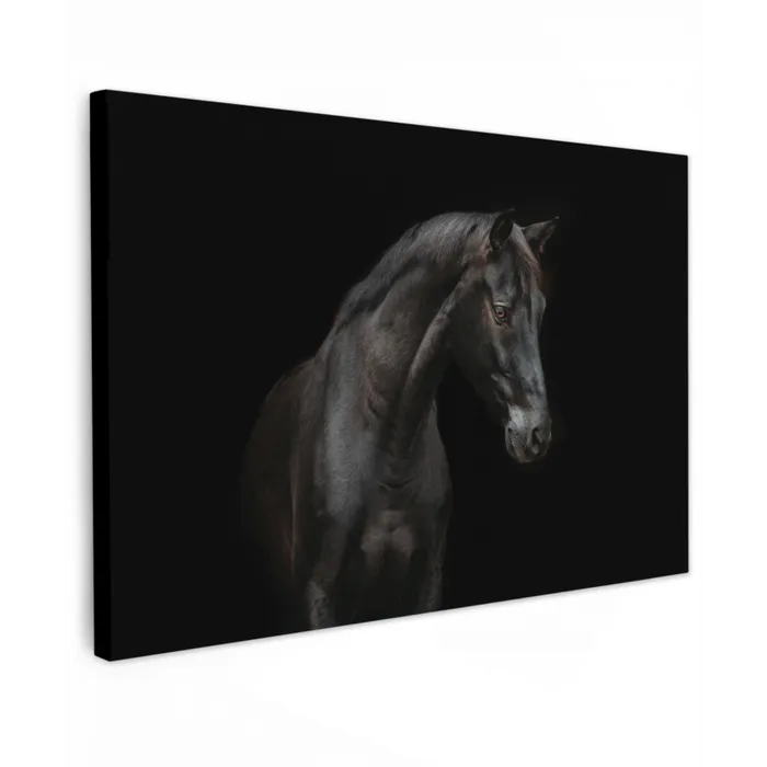 Paard - Dieren - Zwart - Portret Tuinposter op houten frame 2 cm dik klein -3d