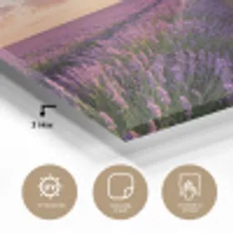 Landschap - Lavendelveld - Paars plexiglas 5mm klein -sfeer2