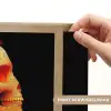 Schedel - Oranje - Zijaanzicht - Vlammen Light Box met batterij (Wandlamp) middel -USP_websiteprintNL