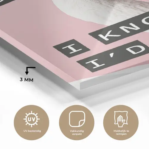 Zwaan - Vogel - Decoratie - Roze plexiglas 5mm klein -sfeer2