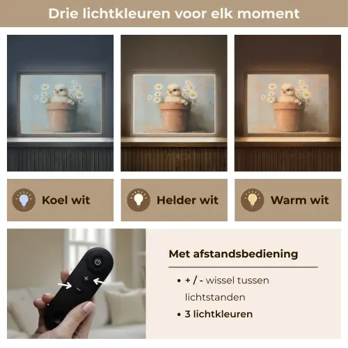 Bloempot - Kuiken - Bloemetjes Light Box met batterij (Wandlamp) middel -USP_lichtkleurNL
