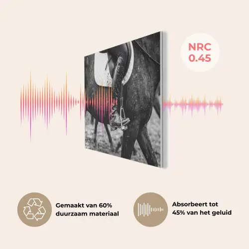 Paard - Sport - Zwart - Wit PET vilt klein -USP_NL