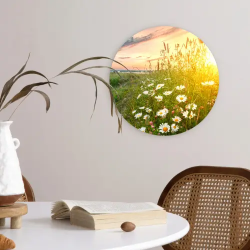 Bloemen - Madelief - Natuur - Zon - Horizon Wandcirkel kunststof plaat 5mm dik klein -sfeer4