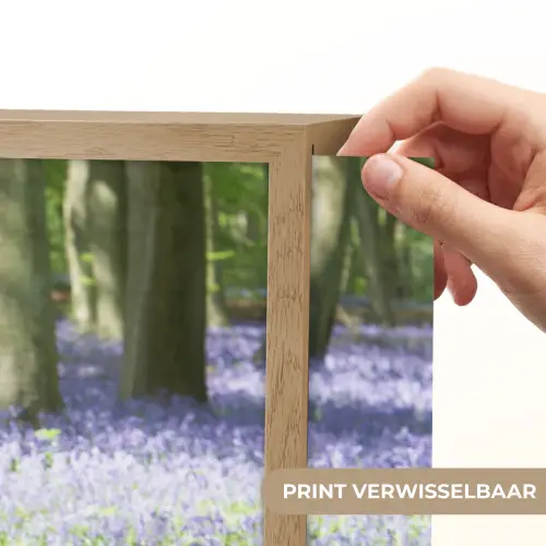 Bos - Pad - Bloemen - Paars - Groen - Natuur Light Box met batterij (Wandlamp) middel -USP_websiteprintNL
