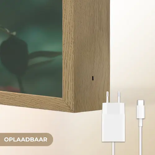 Roos - Bladeren - Dieprood Light Box met batterij (Wandlamp) middel -USP_websiteoplaadbaarNL