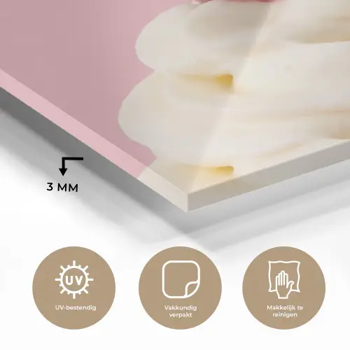 Kers - Slagroom - Roze plexiglas 5mm klein -sfeer2