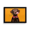 Hond - Oranje - Roos - Valentijn fotolijst zwart zonder passe partout klein -3d