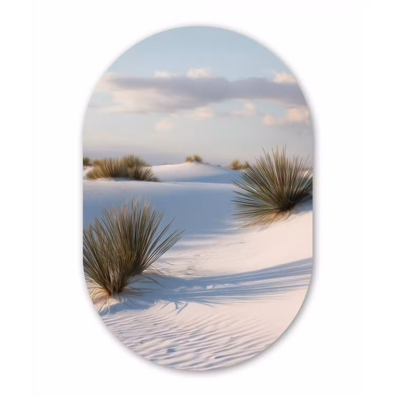 Glasbild Oval - Dünen - Gras - Wolken - Beige