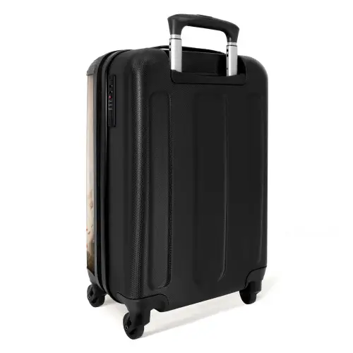 Ludo leeuw NBS - Handbagage koffer - Kinderen Unisex middel -achterkant