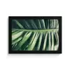 Palmblad - Tropisch - Natuur - Jungle fotolijst zwart zonder passe partout klein -3d