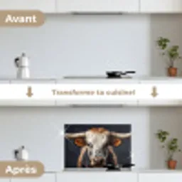 Stier - Kleurrijk - Hoorns keuken achterwand spatscherm klein -voor_na_FR