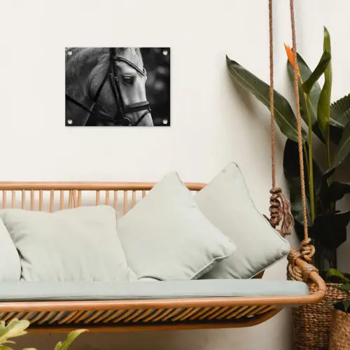 Paard - Schimmel - Portret tuinposter los doek klein -sfeer7
