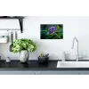Viooltjes - Paars - Bloem - Bladeren Muursticker klein -keuken