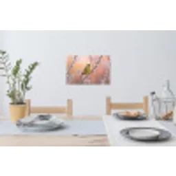 Groenling - Katjes - Lente - Natuur - Zacht Muursticker klein -eettafel