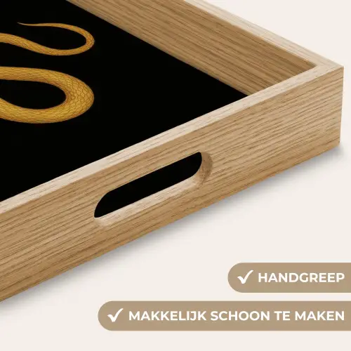 Slang - Minimalistisch - Goud Dienblad Rechthoek middel -USP_HandgreepNL